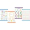Barker Creek Essential Math Skills Poster Set, 4/Set 3862 - alternate 1